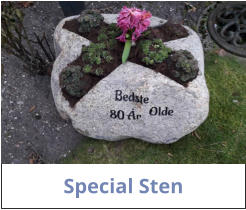 Special Sten